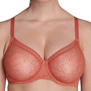 Simone Perele Comete Lace Sheer Full Cup Bra Sz 36G